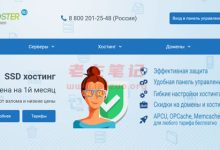 Best-Hoster - 俄罗斯VPS主机 1GB内存 10GB硬盘 月付24元左右-康维主机测评-网站SEO优化