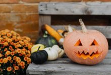 双十一活动提前 云服务器商家争抢用户 套路盘点-康维主机测评-网站SEO优化