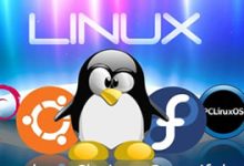 几款我们可能在使用的免费PHP CMS内容管理系统-康维主机测评-网站SEO优化