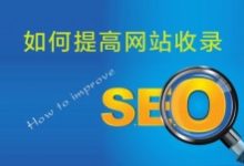 蜘蛛池是怎么提高网站的抓取效率的-康维主机测评-网站SEO优化