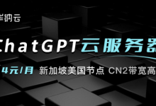 华纳云-ChatGPT云服务器低至二十四元月,高速回国CN2带宽,新加坡美国节点可选-康维主机测评-网站SEO优化