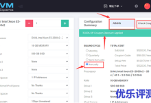 BudgetVM 美国物理服务器 E3-1231v3 8GB 480GB SSD or 2TB SATA 1Gbps83.88美元-康维主机测评-网站SEO优化
