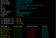美国云服务器 1核1G 200M带宽29元/月 290元/年 速联云-康维主机测评-网站SEO优化