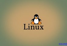 Linux服务器VPS的Windows DD包详细的制作教程-康维主机测评-网站SEO优化