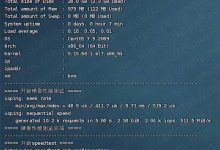 DigitalVirt 1GB内存 400Mbps端口 洛杉矶三网9929线路的KVM VPS测评-康维主机测评-网站SEO优化