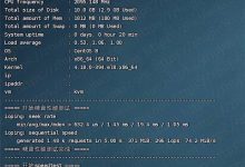 SiliCloud 1核 2GB内存 1Gbps端口 美国洛杉矶GIA+BGP KVM VPS测评分享-康维主机测评-网站SEO优化