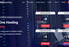 GoSSDHosting美国VPS:1核1G内存50GB硬盘500GB月流量@1Gbps带宽,1个IPv4,全托管,20美元/月,硬件专用不超售-康维主机测评-网站SEO优化
