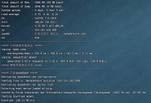 natanetwork 512MB内存 1Gbps端口 不限流量 印尼KVM VPS测评-康维主机测评-网站SEO优化