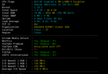 日本CN2云服务器  1核1G 30M  32元/月  稳爱云-康维主机测评-网站SEO优化