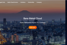 海外网站服务器有哪些？便宜海外网站服务器租用选择RAKsmart、Megalayer或BlueHost-康维主机测评-网站SEO优化