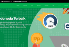 natanetwork印尼KVM VPS：$6/月/512MB内存/100GB空间/不限流量@1Gbps端口-康维主机测评-网站SEO优化