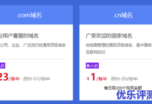 新网推出新用户域名优惠活动，.com首年29元，.cn首年1元-康维主机测评-网站SEO优化