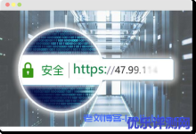 公网IP SSL证书介绍及DV/OV型SSL证书对比与收费标准-康维主机测评-网站SEO优化