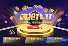 华纳云双十一钜惠,香港/美国云服务器低至3.5折,爆款独享服务器低至4折-康维主机测评-网站SEO优化