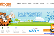 Hostigger新年促销:美国荷兰土耳其不限流量VPS全场79折,年付28.33美元起-康维主机测评-网站SEO优化
