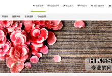 hkserver新加坡ovh高防vps独享vCPU适合高防建站年付160元起-康维主机测评-网站SEO优化