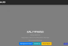 咸鱼云SaltyFishTech美国圣何塞三网联通回程优化线路直连VPS预售8折优惠$4.4/月起附优惠码及测试IP-康维主机测评-网站SEO优化