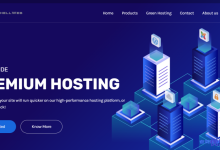 SoftShellWeb情人节促销1核1G内存20G SSD硬盘1Gbps带宽美国&荷兰不限流量VPS年付仅需25美元-康维主机测评-网站SEO优化