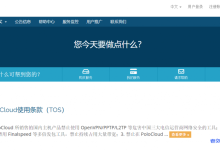 菠萝云polocloud洛杉矶Cera KVM VPS优惠:1核256MB内存20GB NVME空间1TB月流量100Mbps双向端口19.9元/月-康维主机测评-网站SEO优化