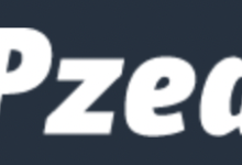 XSX新加坡/日本服务器,5折优惠,低至$57/月,e3-1230v3/16g内存/480gSSD/100M带宽-康维主机测评-网站SEO优化