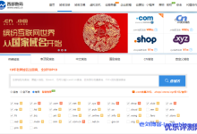 19年老牌域名注册商,全球TOP10:西部数码支持哪些后缀域名注册?建站流程及西部数码域名优势说明-康维主机测评-网站SEO优化