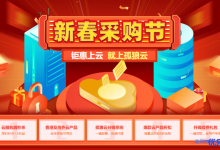 孤狼云新春采购节：香港安畅/沙田CN2线路云服务器1核1G内存1M带宽40G硬盘月付10元-康维主机测评-网站SEO优化