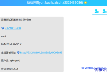 快快数据1核1G内存5M带宽香港VPS云服务器性能测评-康维主机测评-网站SEO优化