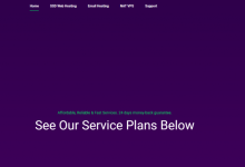 WebHorizon新加坡NAT VPS：$1.1/月/1核/256MB内存/5GB NVMe空间/250GB月流量/1Gbps端口/KVM-康维主机测评-网站SEO优化