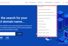 taiwanwebhosting台湾VPS：hinet机房直连大陆，1核512MB内存100Mbps带宽100G月流量$12/月-康维主机测评-网站SEO优化