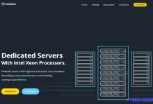 IonSwitch独服优惠：$49/月/E3-1220/8GB内存/120GB SSD硬盘/10TB流量/1Gbps端口/DDOS/西雅图&达拉斯-康维主机测评-网站SEO优化