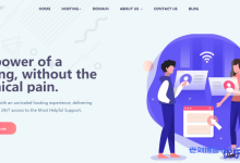 ShineServers限时优惠:首月5折年付5折或循环85折,荷兰/阿联酋VPS/5美元/月/1核1G/50GB硬盘/3TB流量/1Gbps带宽-康维主机测评-网站SEO优化