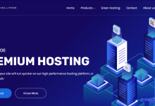 SoftShellWeb:$29/年/1GB内存/20GB SSD空间/4TB流量/1Gbps端口/DDOS/KVM/圣何塞VPS/台湾vps/荷兰vps-康维主机测评-网站SEO优化