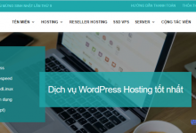 Ftech越南VPS:$12.5/月/2核/2G内存/20G SSD/1Gbps带宽不限流量,免Windows系统安装费-康维主机测评-网站SEO优化