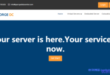 GeorgeDatacenter美国AMD高配不限流量VPS,洛杉矶、堪萨斯、阿姆斯特丹机房,4核8G内存50G NVMe硬盘1Gbps带宽$84/年-康维主机测评-网站SEO优化