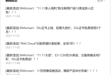 RAKsmart：双十一狂欢，美国独立服务器首月半价，且美国和香港云服务器七折-康维主机测评-网站SEO优化