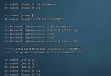 CXTHHHHH之一键网络重装系统–魔改版教程，适用于Linux或Windows操作系统-康维主机测评-网站SEO优化