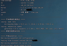 DogYun狗云VPS测评：1核@AMD 5950X 512MB内存 50Mbps端口 香港BGP KVM VPS-康维主机测评-网站SEO优化