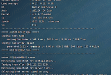 Riven Cloud极云网络:2核 1GB内存 1Gbps端口 香港CMI KVM VPS测评-康维主机测评-网站SEO优化