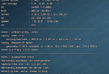 V.PS 2核 1GB内存 1Gbps端口 香港CMI KVM VPS测评-康维主机测评-网站SEO优化