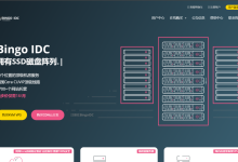 BingoIDC美国Cera上新,1核1G10M带宽月付21元起,充200送10,最高月付7折-康维主机测评-网站SEO优化