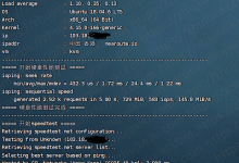Nearoute 512MB内存 10Gbps端口 香港KVM VPS测评-康维主机测评-网站SEO优化