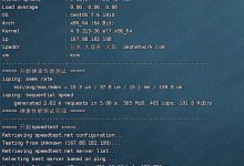 HostYun 1核@AMD5950X 512MB内存 500Mbps端口 日本IIJ KVM VPS测评-康维主机测评-网站SEO优化