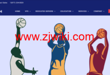 DediPath:全场6折优惠,vps云服务器12美元/年起,美国独服39美元/月RYZEN NVME OPENVZ VPS-康维主机测评-网站SEO优化