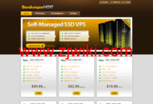 搬瓦工：DC9 CN2 GIA 限量版新款套餐补货 $74.73/年-康维主机测评-网站SEO优化