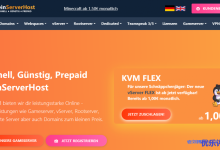 DeinServerHost德国VPS一次性5折优惠！€27.5/年/2核4GB内存/50GB NVMe空间/不限流量@1Gbps端口/DDoS防御/KVM架构-康维主机测评-网站SEO优化