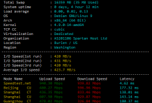 Spartanhost斯巴达西雅图E3-1270 v2便宜独立服务器测评-康维主机测评-网站SEO优化