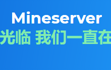 Mineserver香港CN2/日本CN2云主机19.9元/月起(20Mbps不限流量)-康维主机测评-网站SEO优化