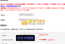 美国IdcBuster 4核4G内存40G硬盘1T流量OpenVZ VPS 49元/月-康维主机测评-网站SEO优化