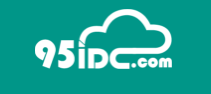 95IDC香港日本CN2云服务器终身五折25元起/香港物理服务器终身7折-康维主机测评-网站SEO优化