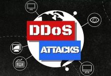 高防CDN与高防服务器有什么区别?-康维主机测评-网站SEO优化